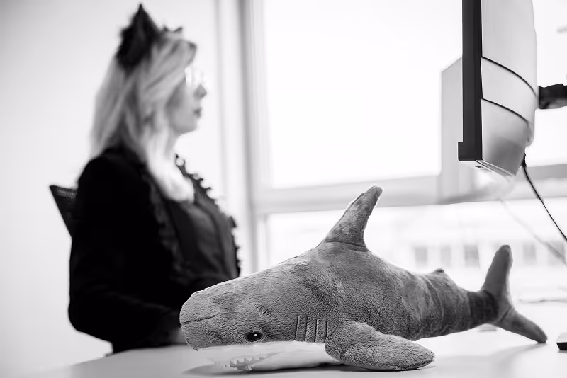 Mitarbeiterin vor einem Monitor, ein Plüschhai liegt auf dem Schreibtisch.